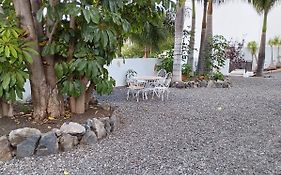 Las palmeras